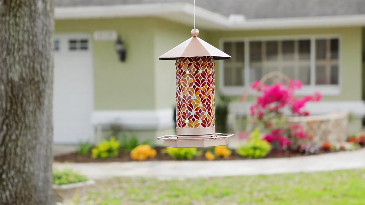 garden reflections bird feeder