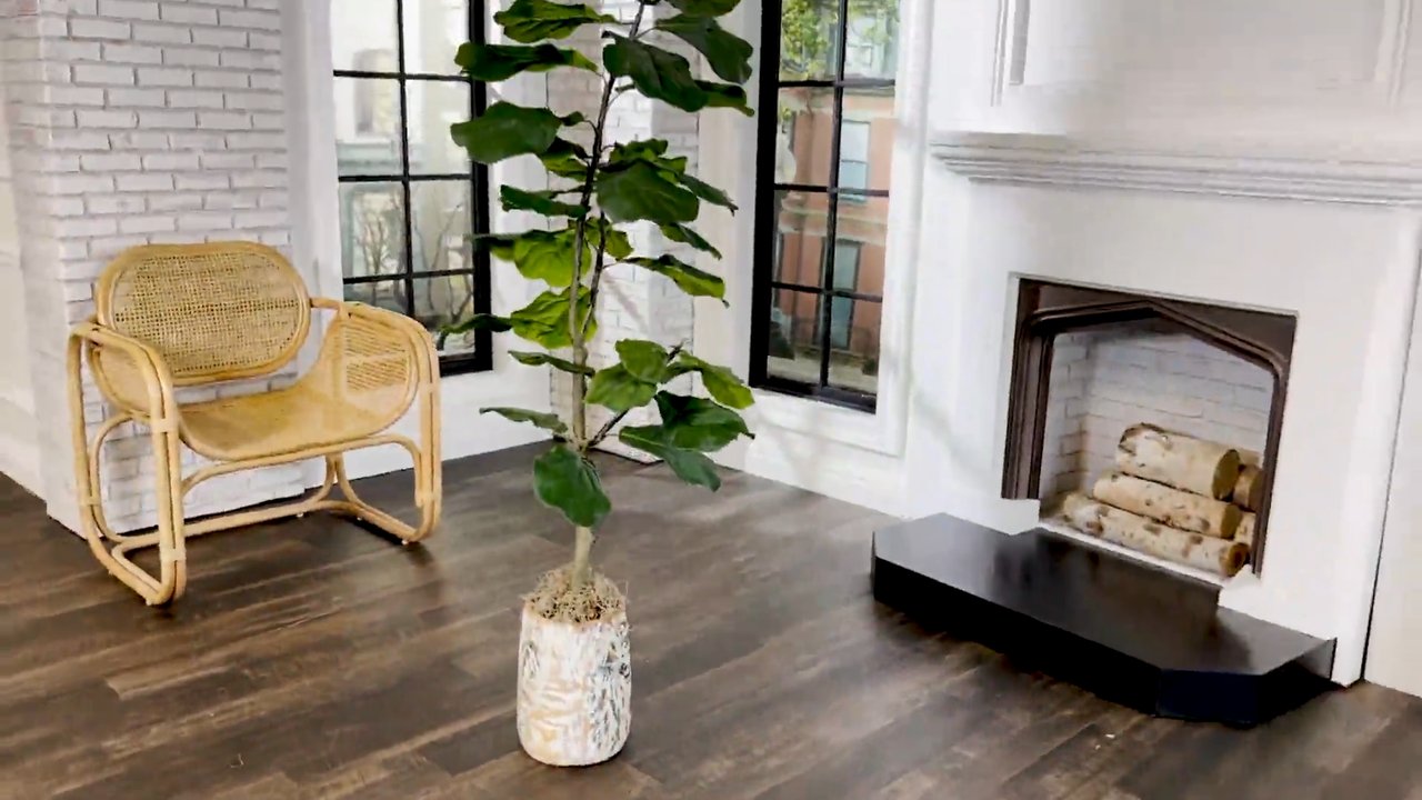 How to Pot & Style Your Fiddle Leaf ● 7/21