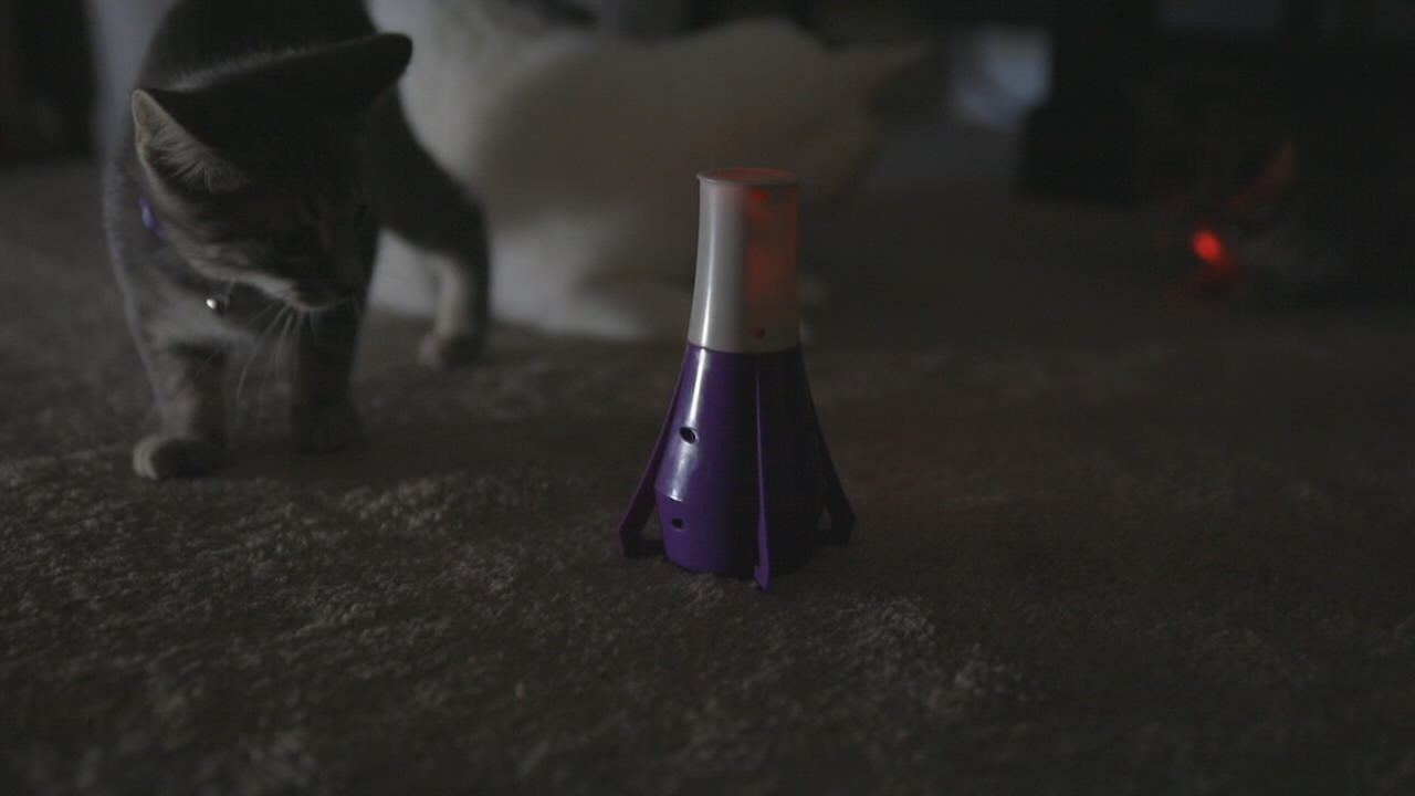 hexbug nano cat