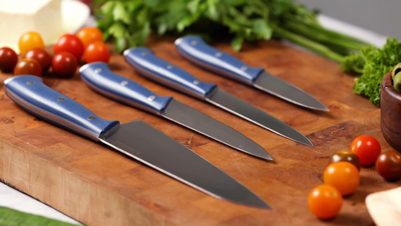 Dash of That Kitchen Knife Set, 4 pk - Dillons Food Stores