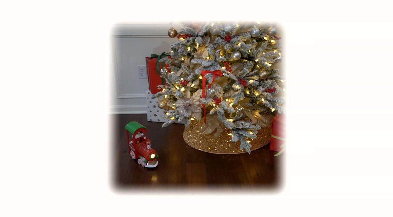 ドリーミングクリスマス 5022344893075-01_600x.jpg?v=