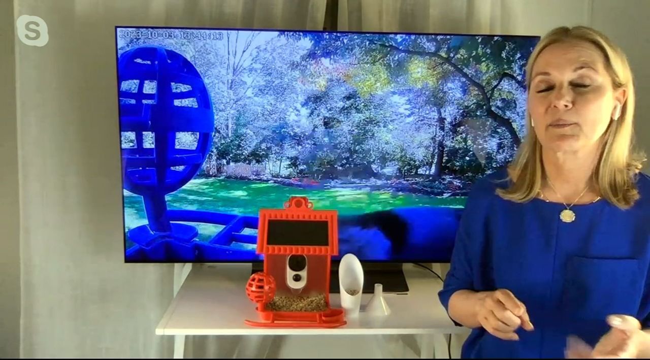 On-Air Presentation