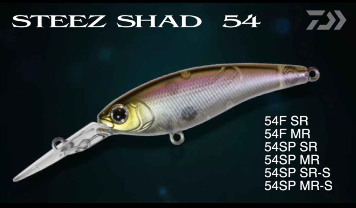 DAIWA（STEEZ SHAD 54）