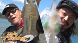 エギング｜釣り情報｜DAIWA