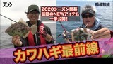 2020カワハギ最前線