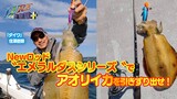 エギング｜釣り情報｜DAIWA