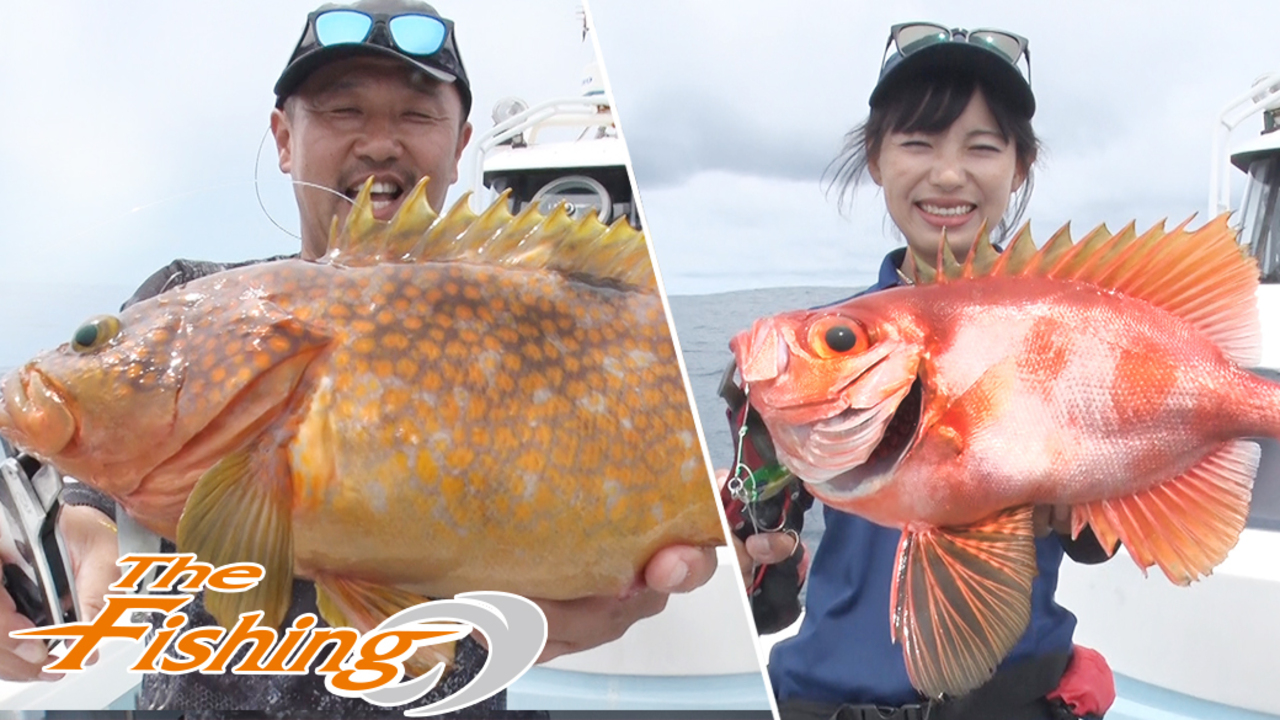 The Fishing ターゲット多彩 日本海スロージギング Tv番組 Daiwa Channel