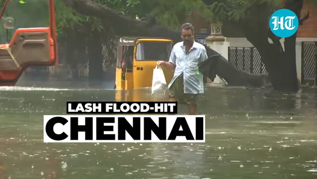 Ash hollywood in Chennai