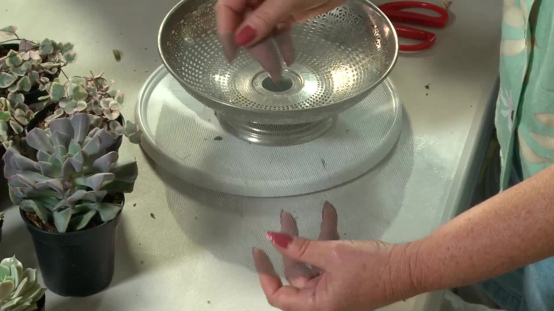 Floral-Style Arrangement