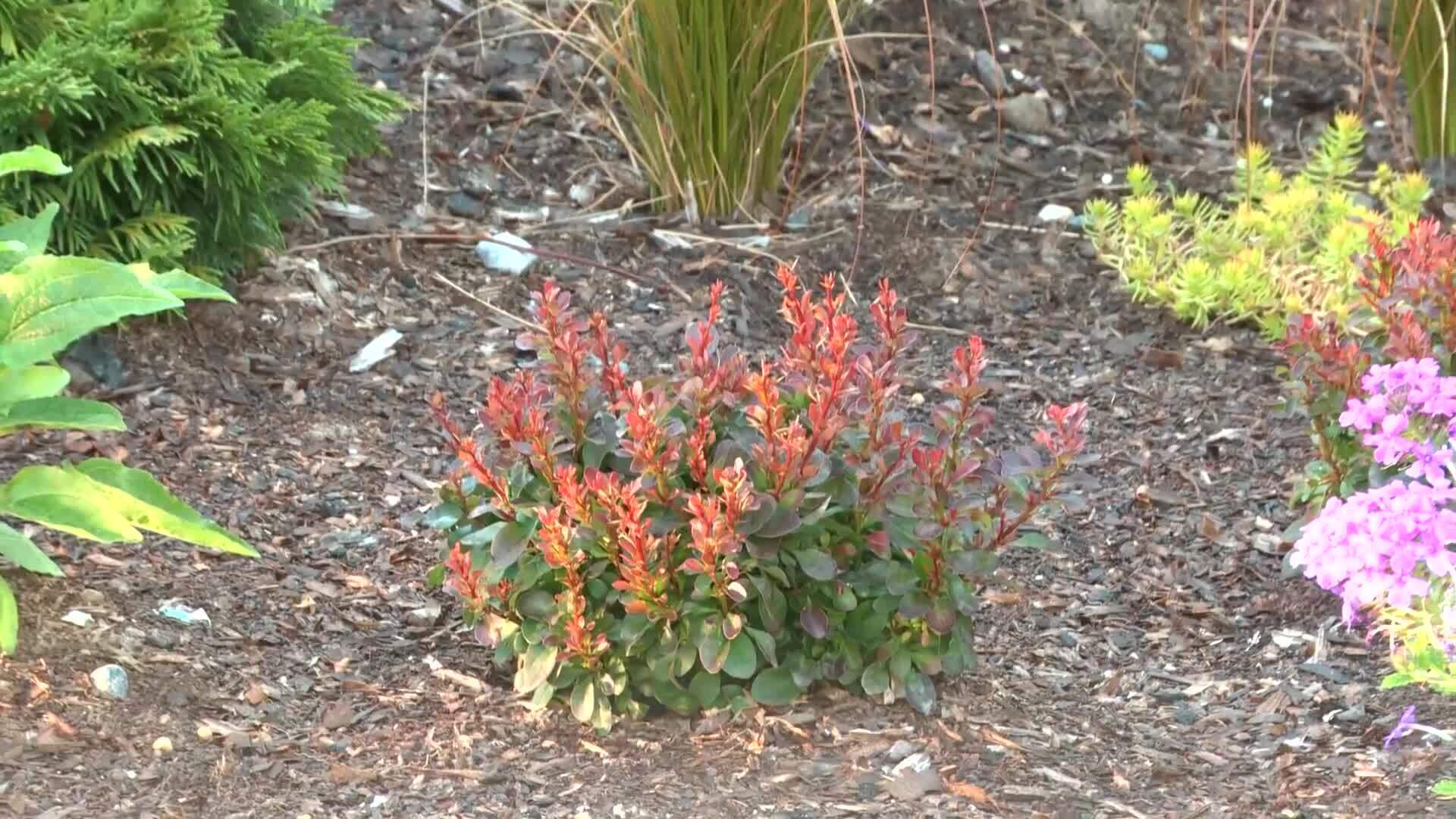 Water Features & Art as Focal Points