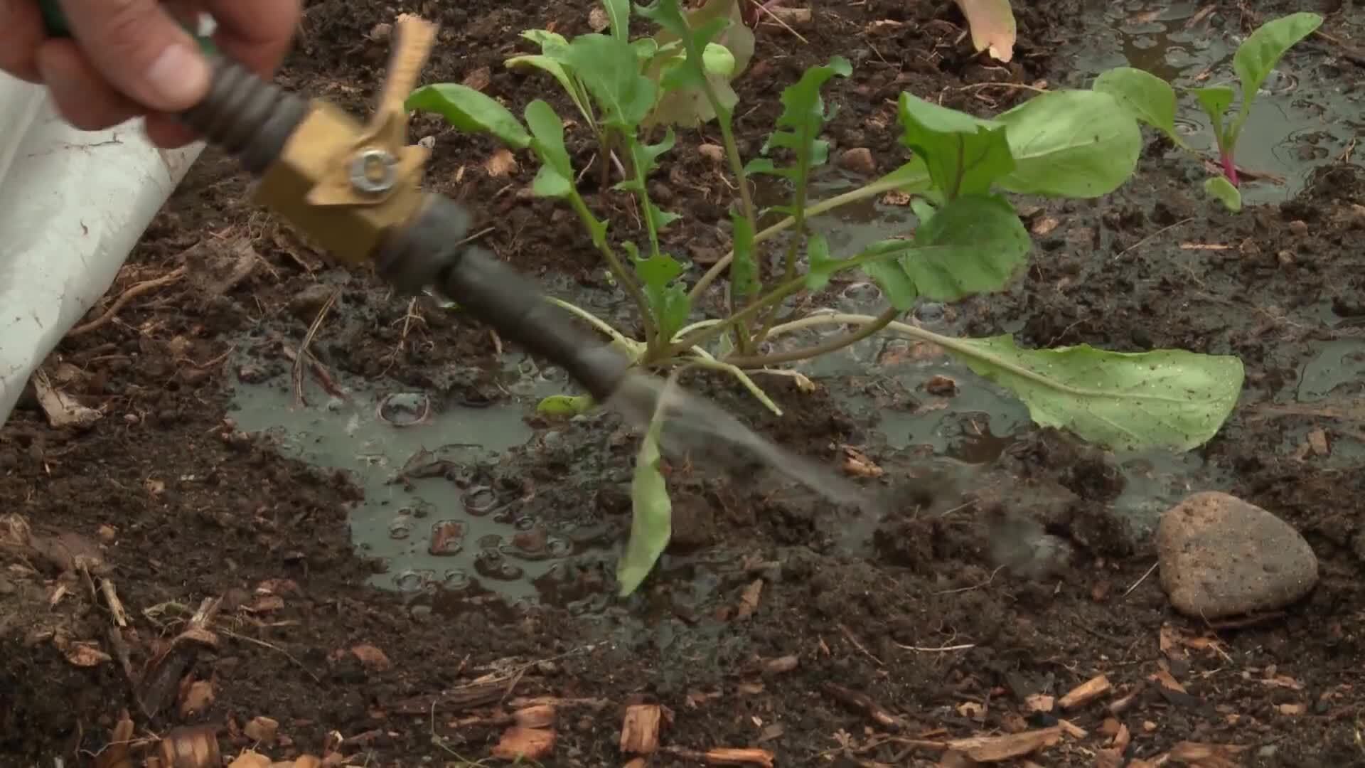 Fall & Winter Season Extension