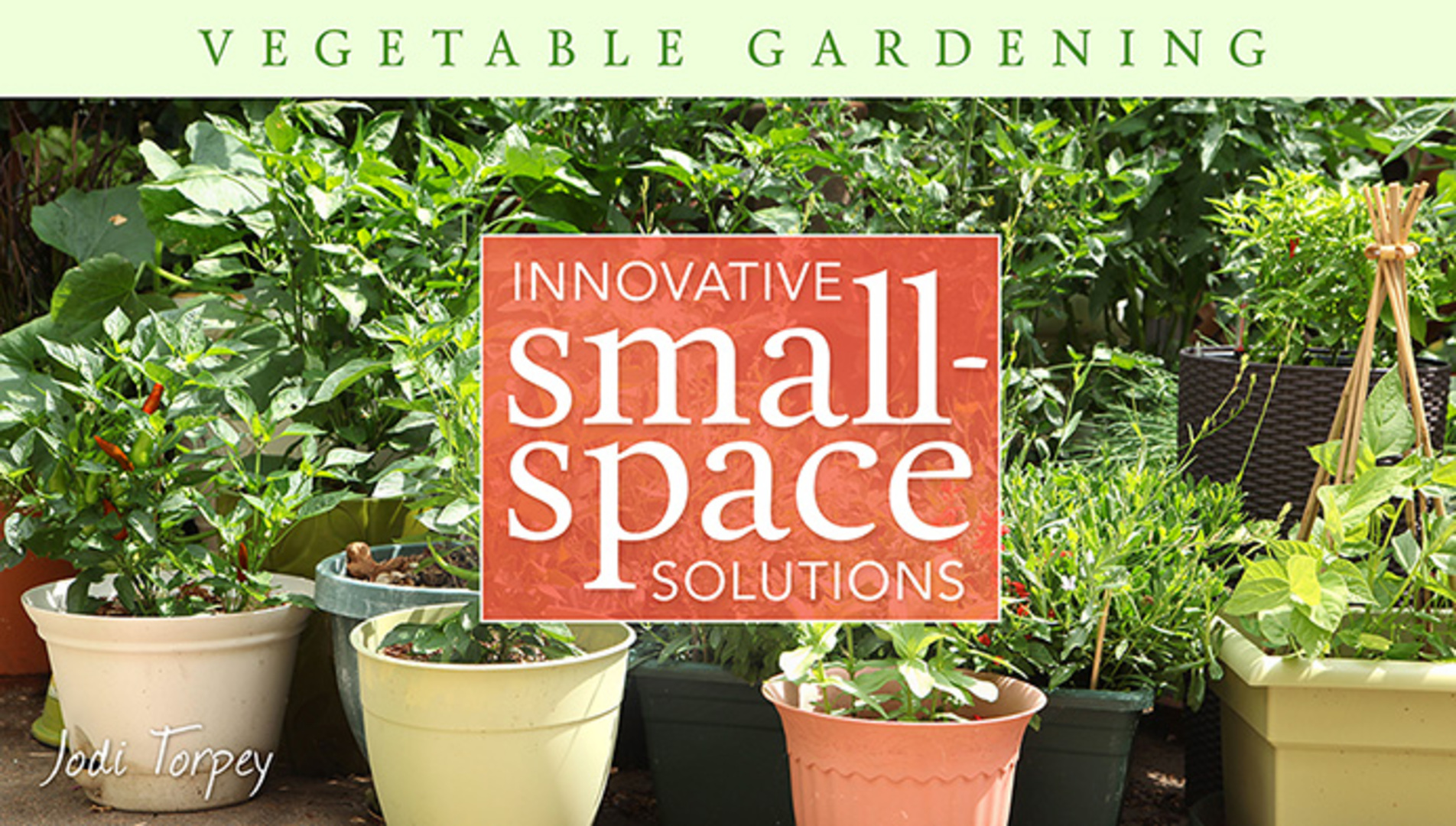 Small Space Vegetable Gardening Tips