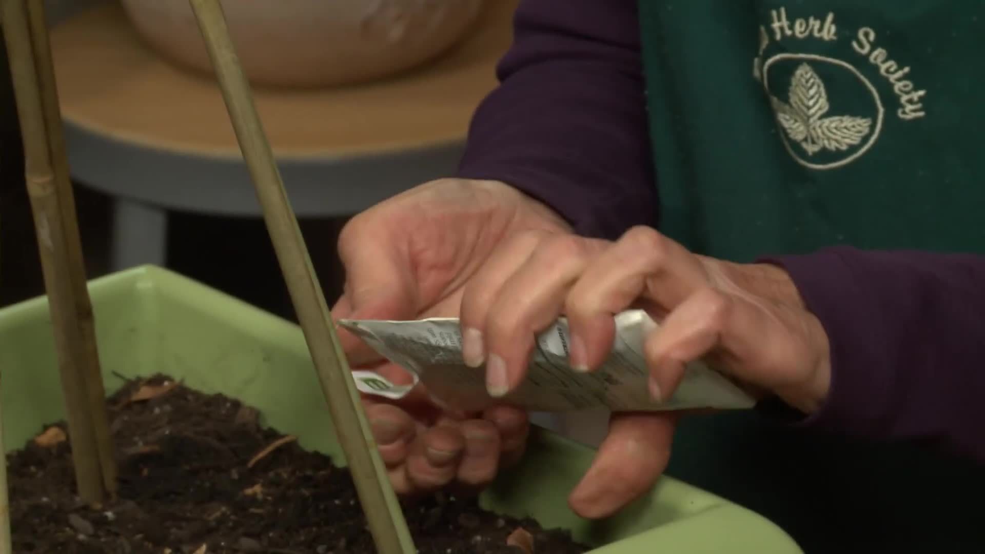 Maximizing Your Small Space