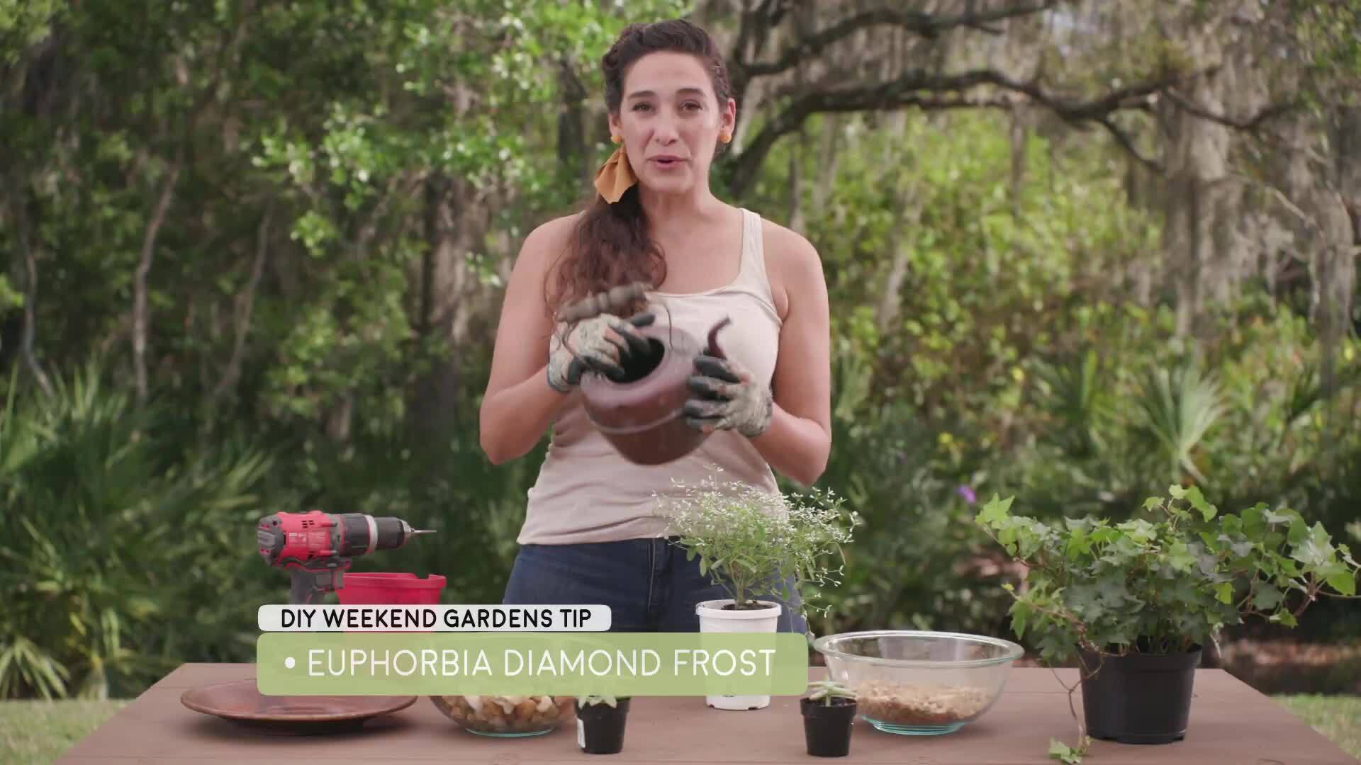 Indoor Container Gardens