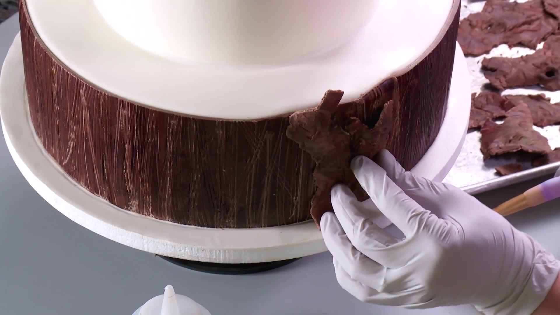 Wreath Cake: Bark & Twigs