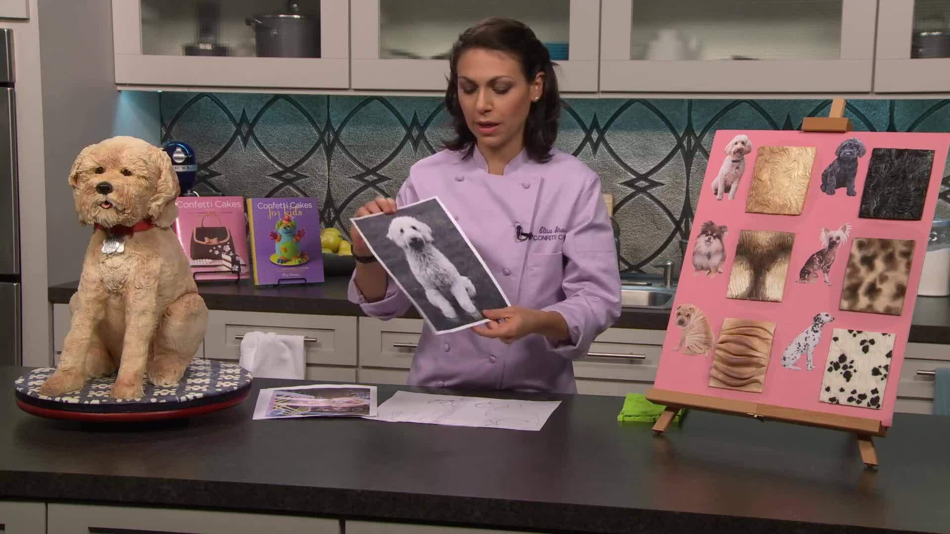 Introduction & Templates