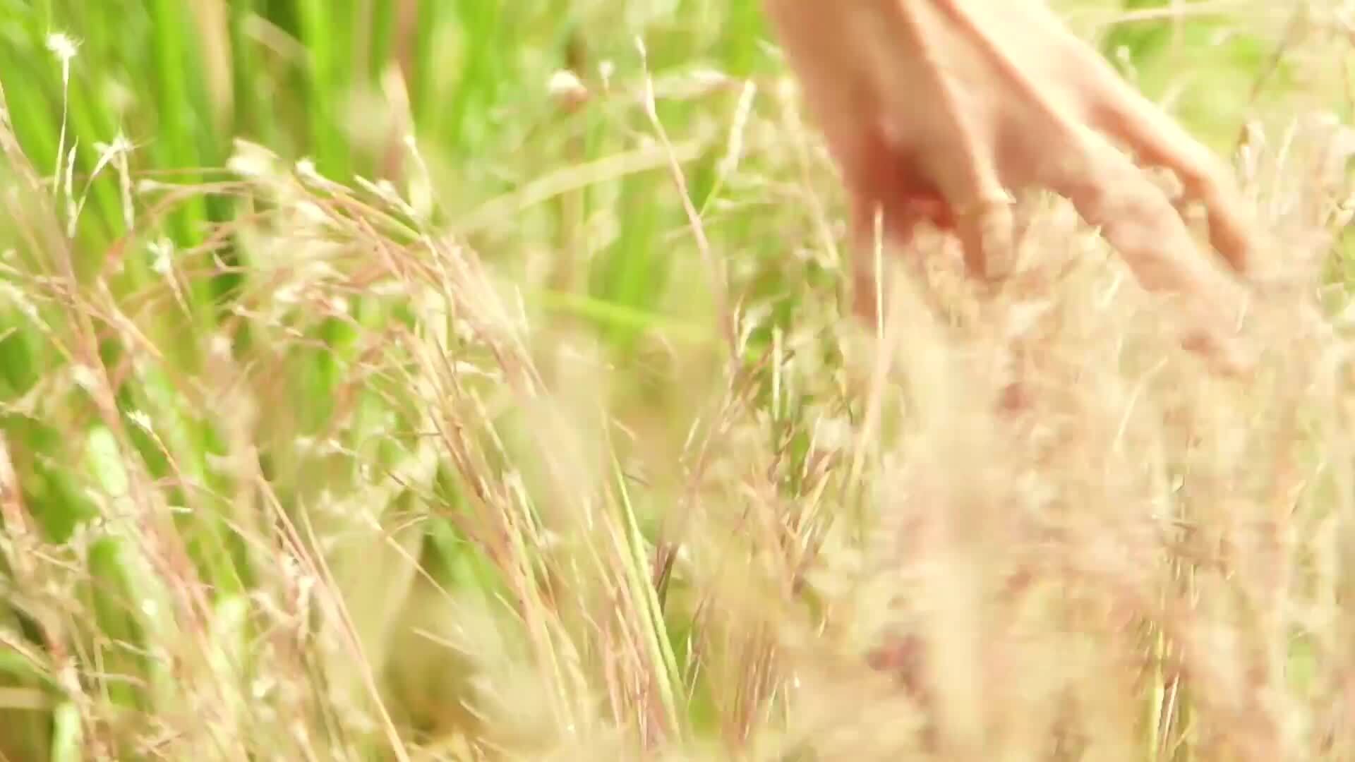 Journaling for Mind & Soul