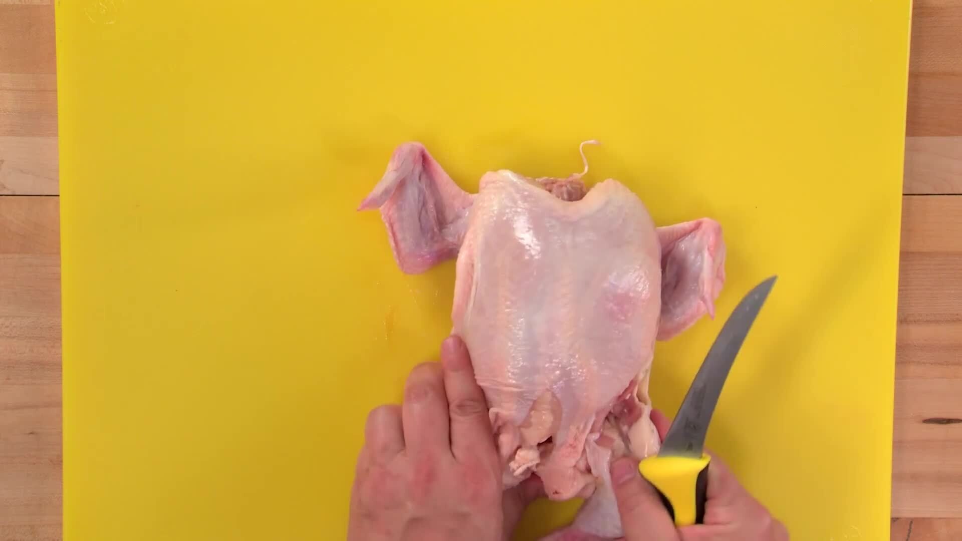 Essential Cuts: Poultry
