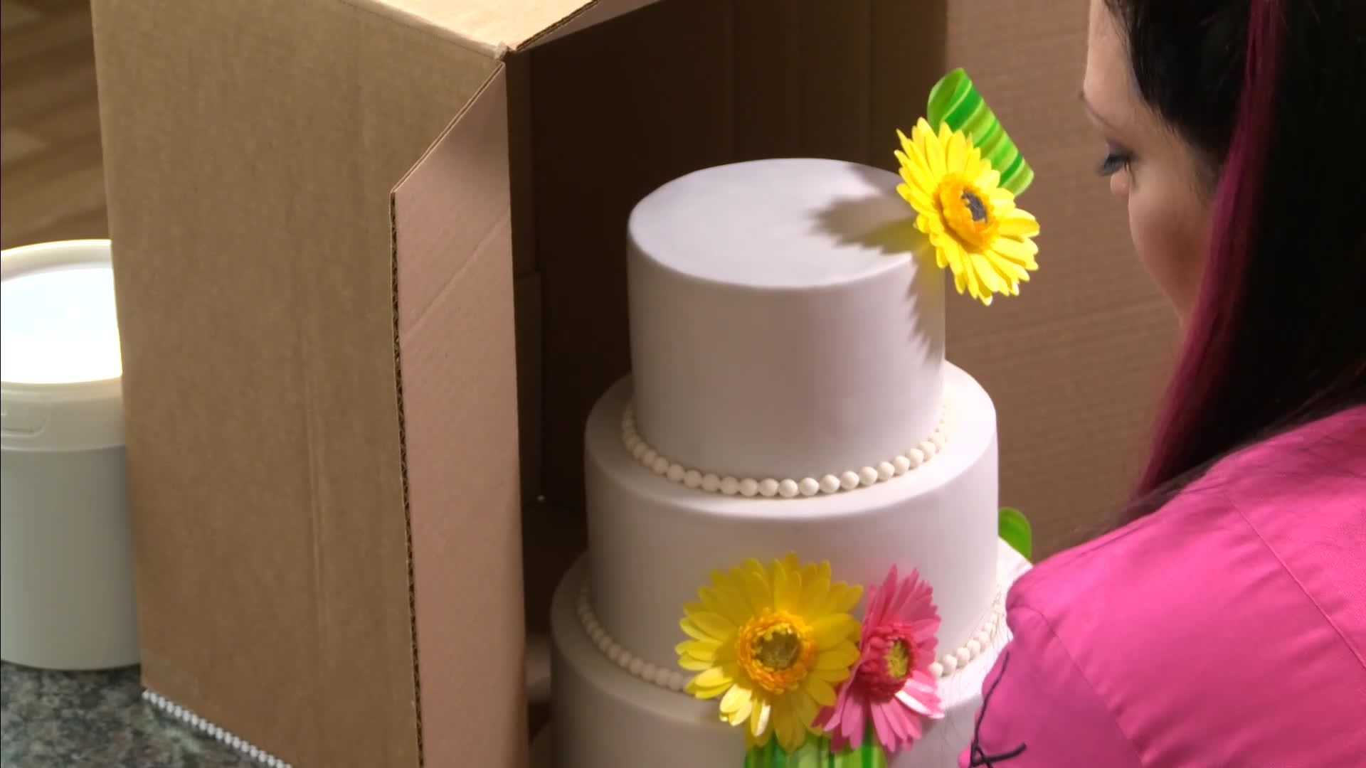 Cake Storage &amp; Delivery