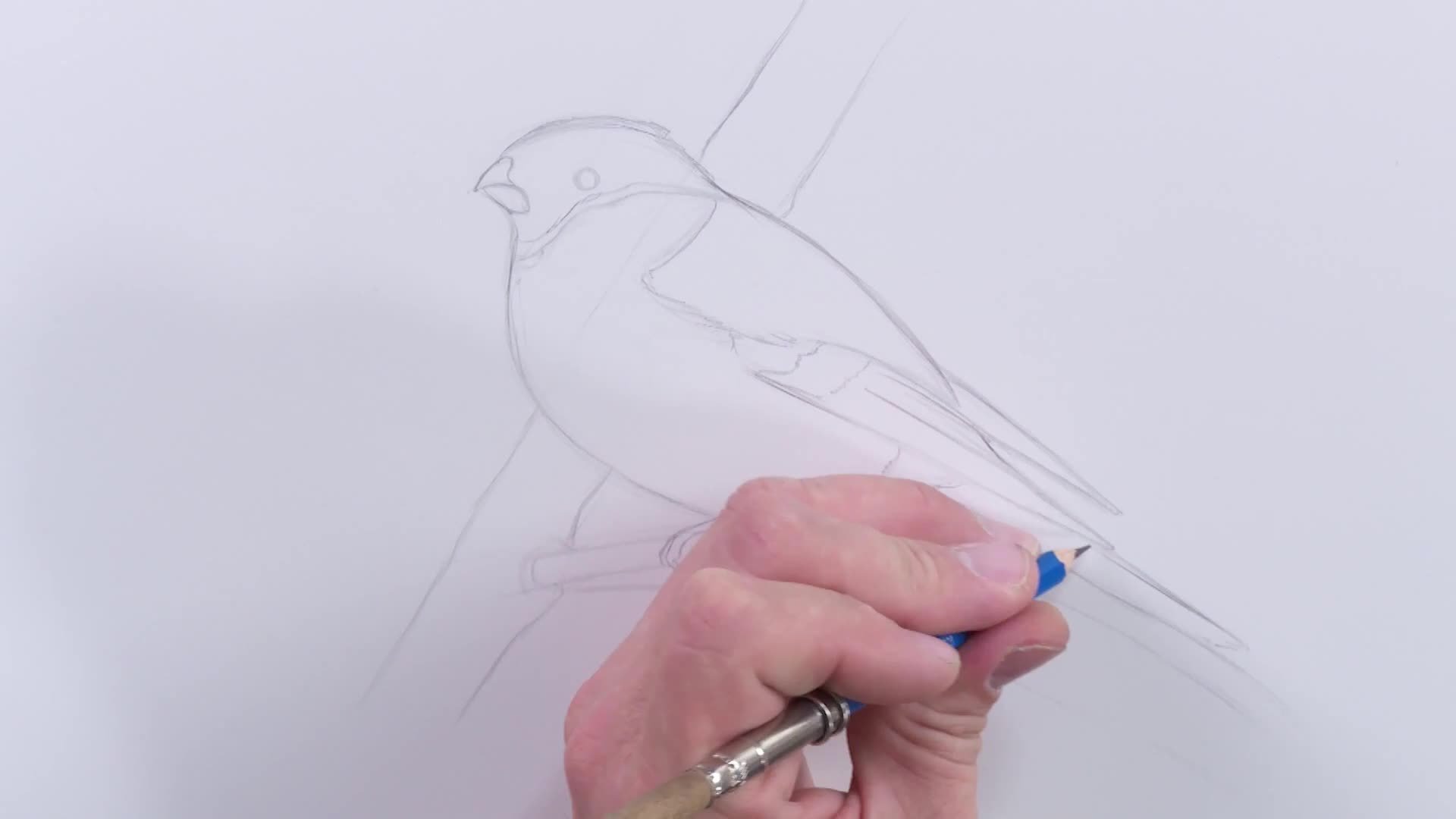 Initial Drawing