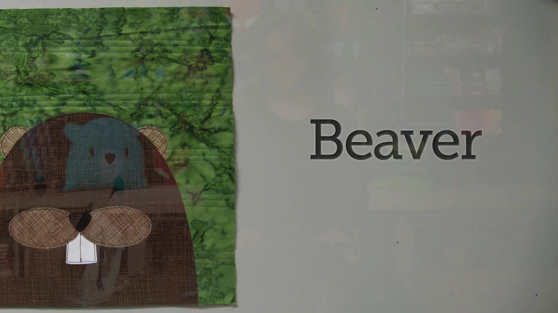 Basic Faces: Bear, Beaver &amp; Deer