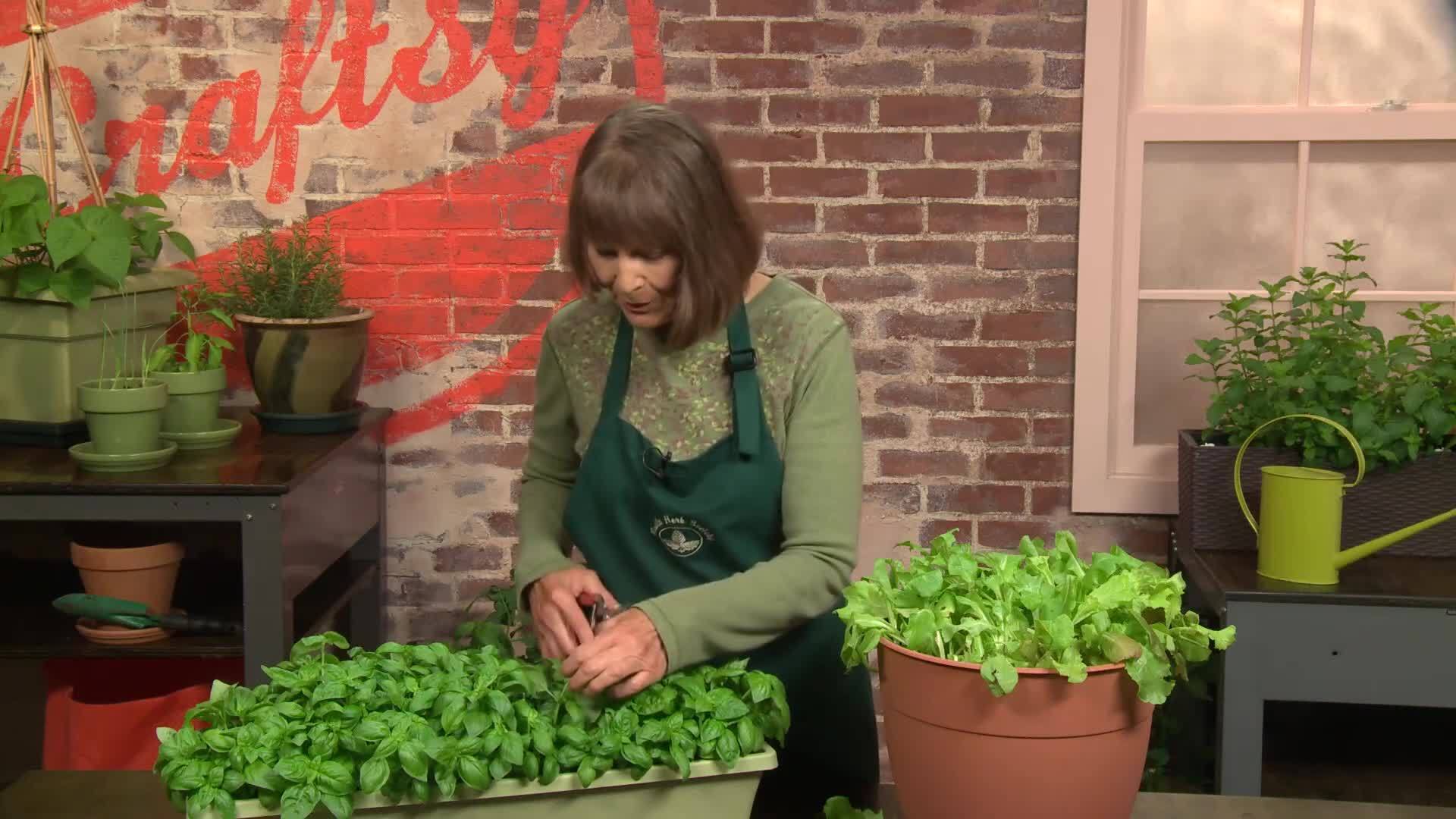 Vegetables for Shady Spots