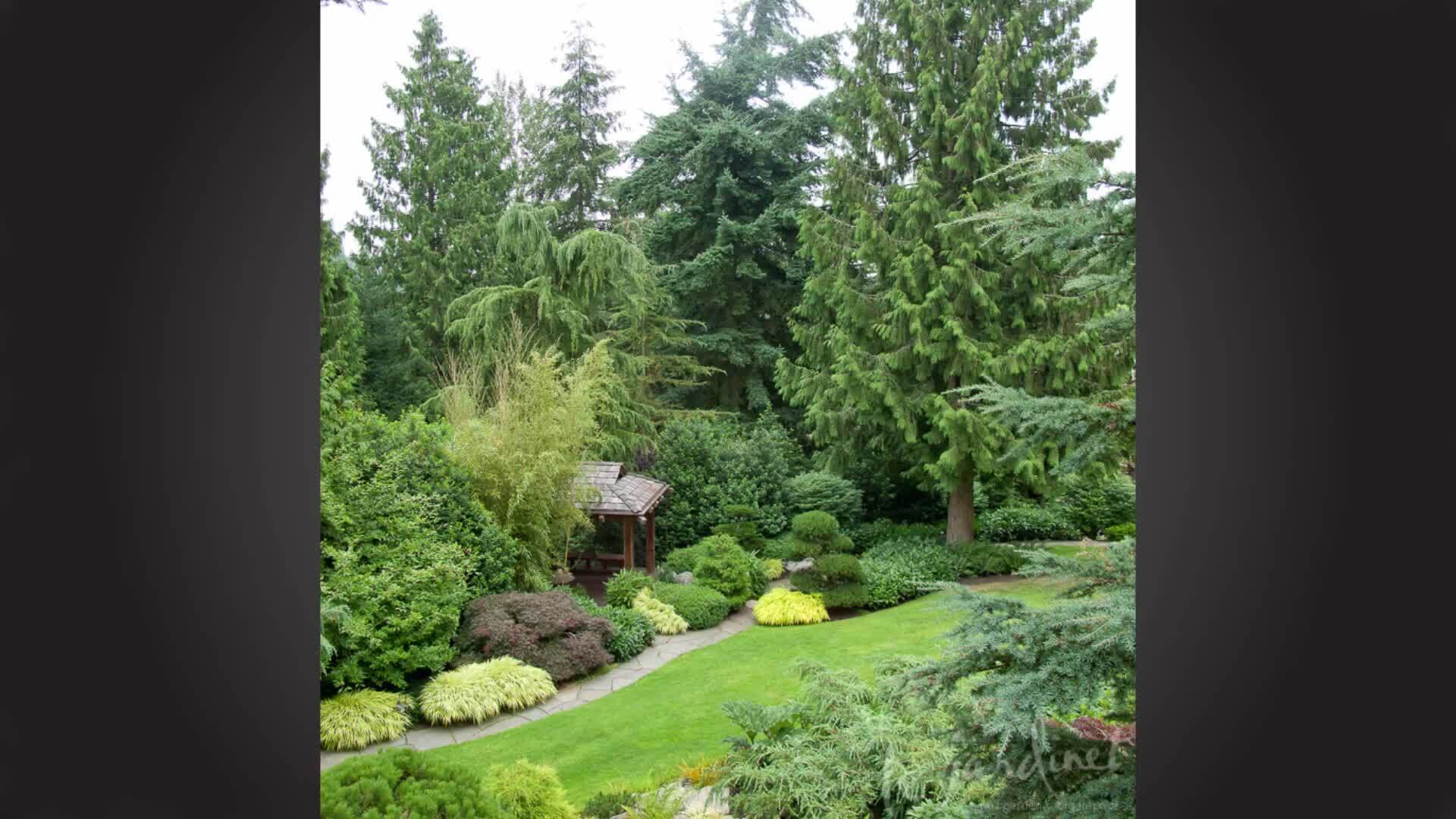 Structures as Focal Points