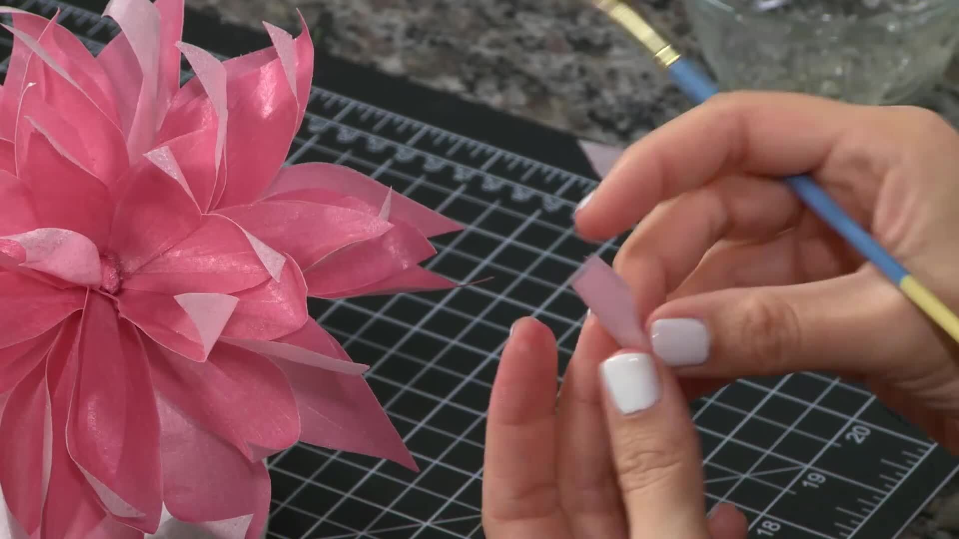 Dahlia & Chrysanthemum