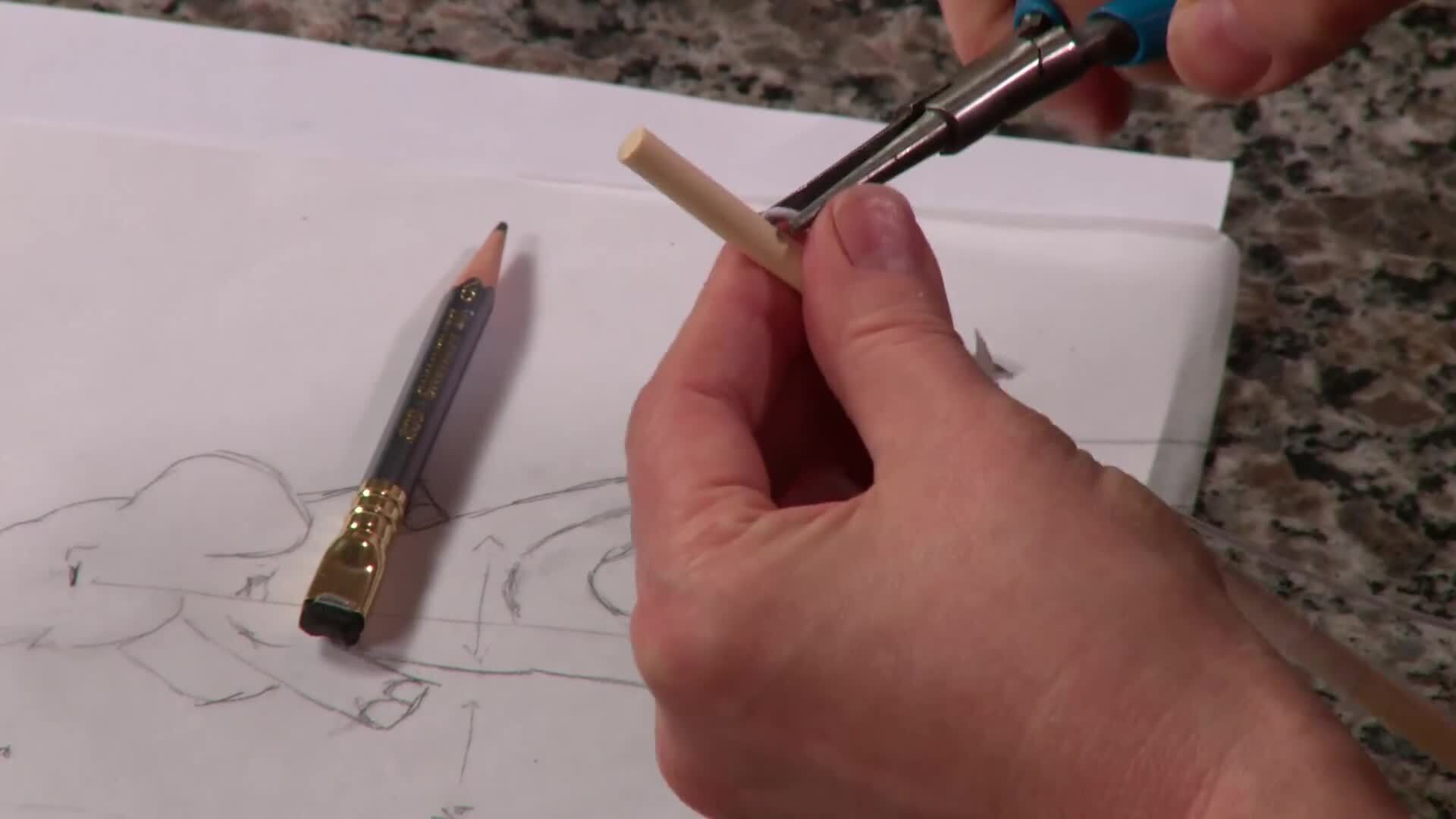 Introduction & Elephant Structure