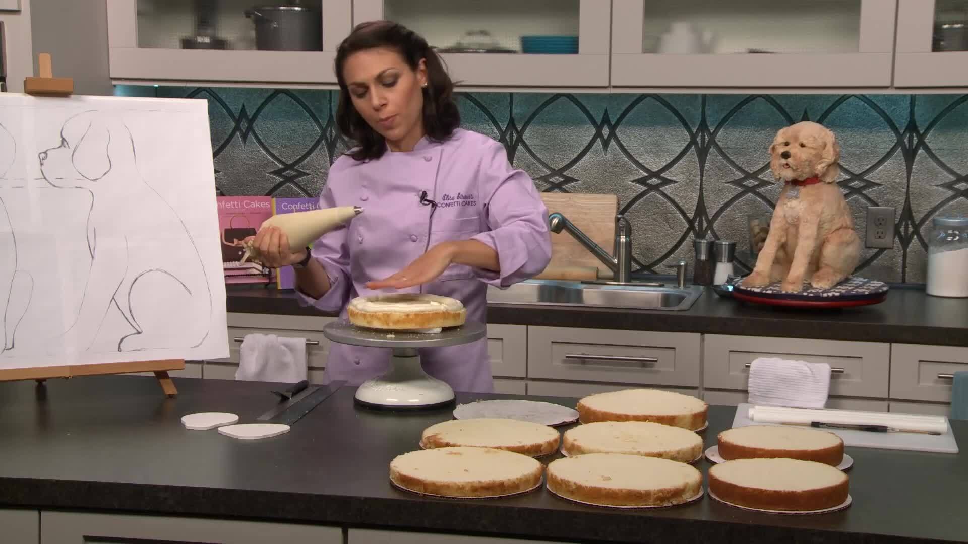 Building the Dog Body & Head