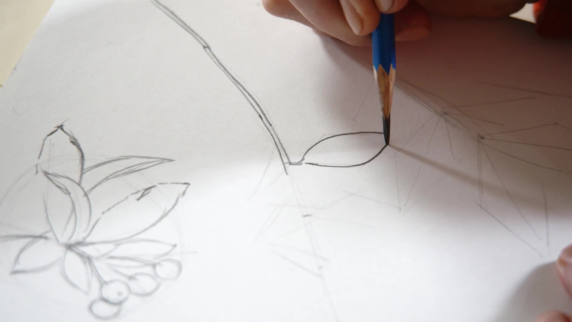 Becoming a Better Observer