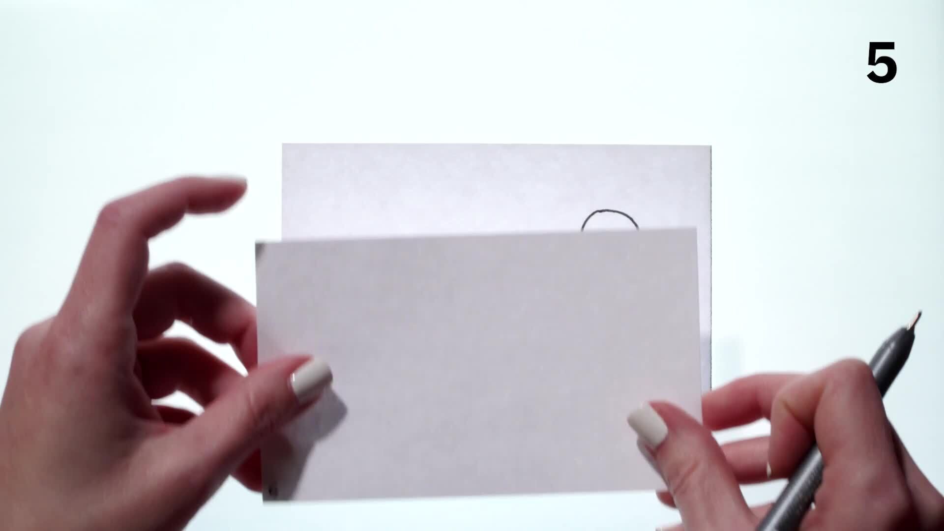 Squash &amp; Stretch