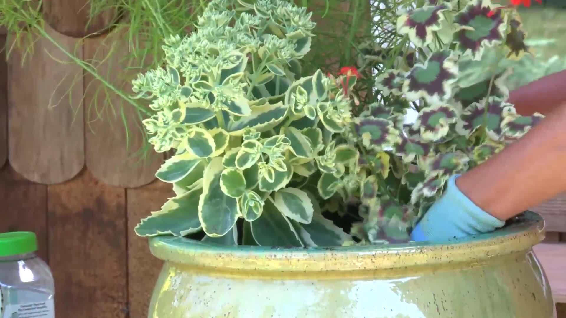 Designing With Foliage