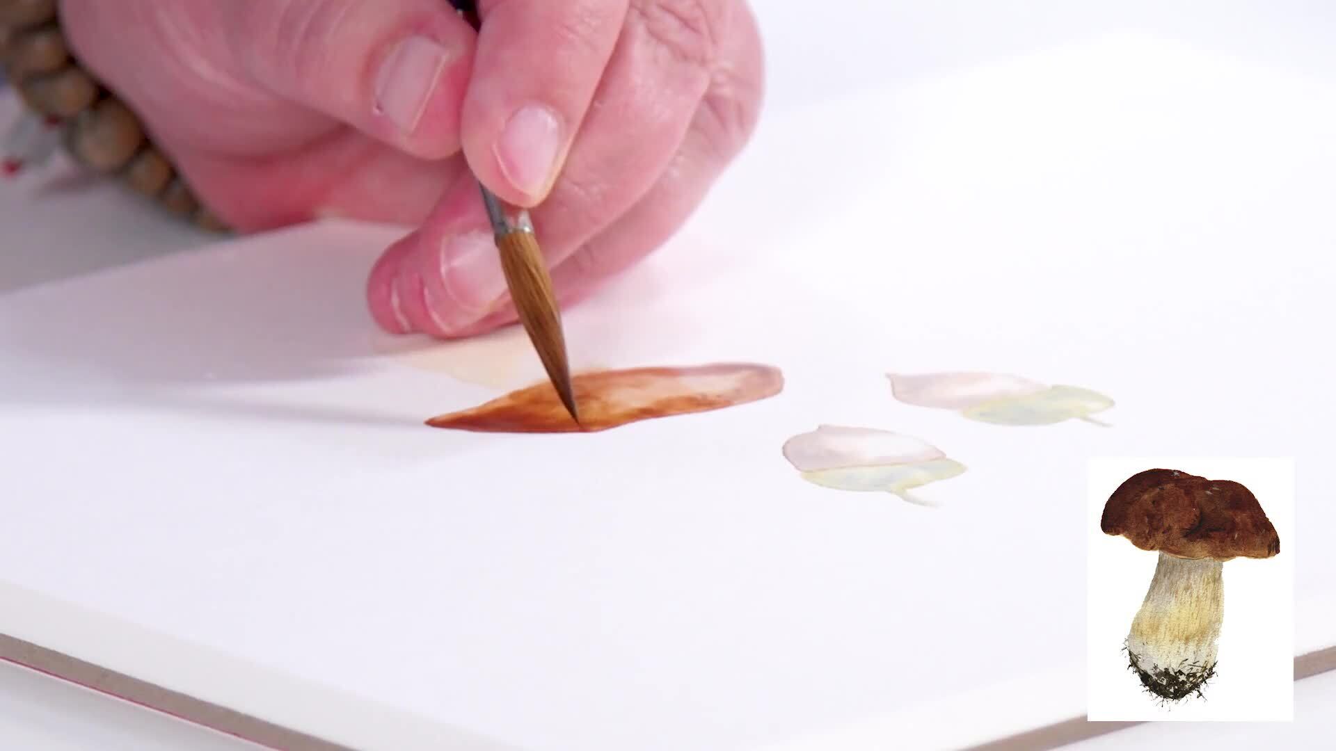 Autumn Treasures: Botanical Studies From Natural Objects