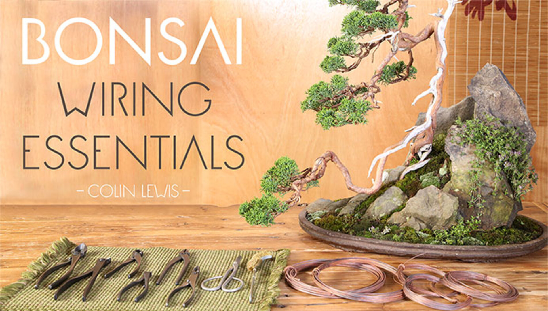 6 Easy Steps to Wire Bonsai Trees