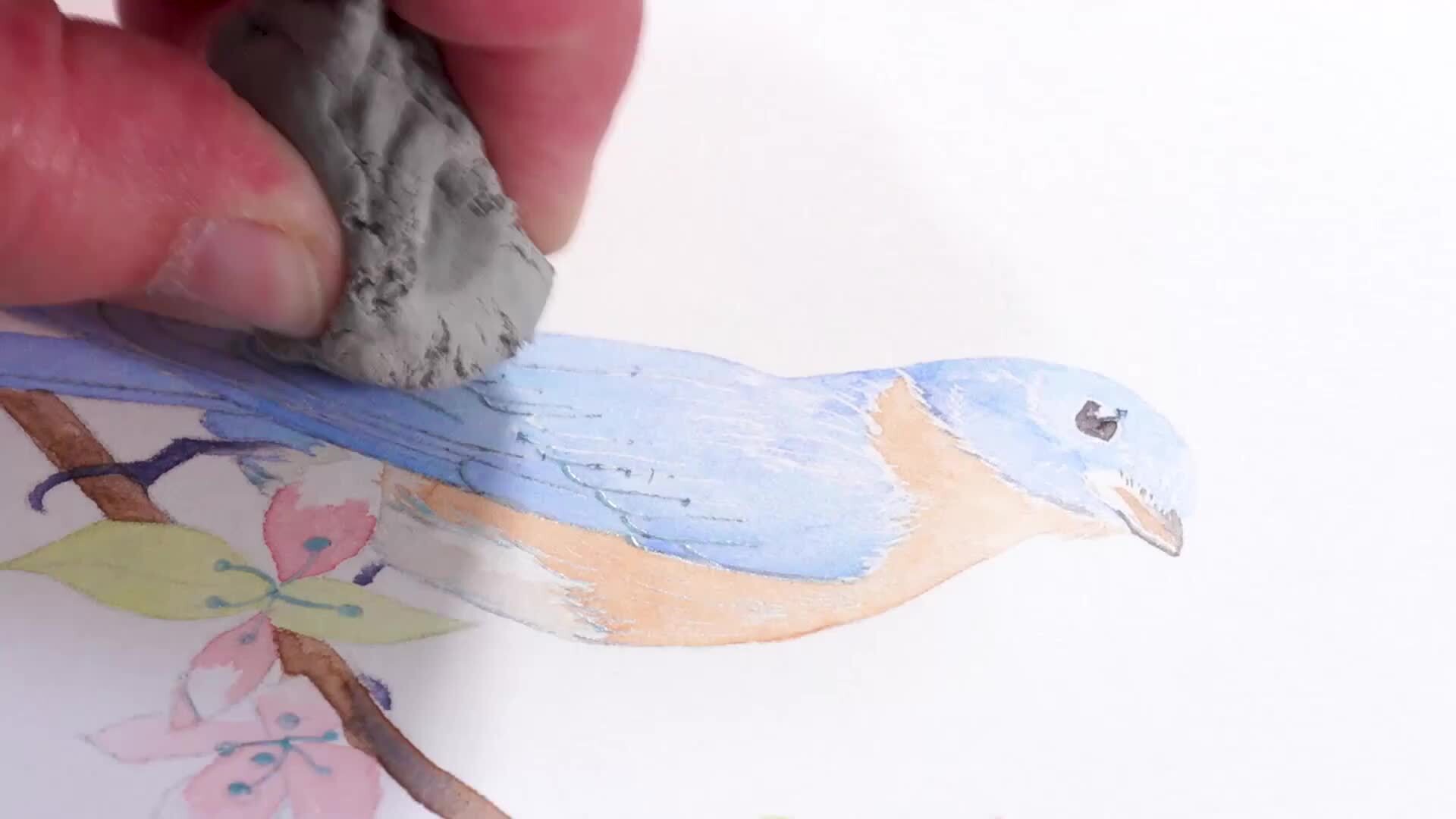 Nature Study: Bluebird on a Flower Branch