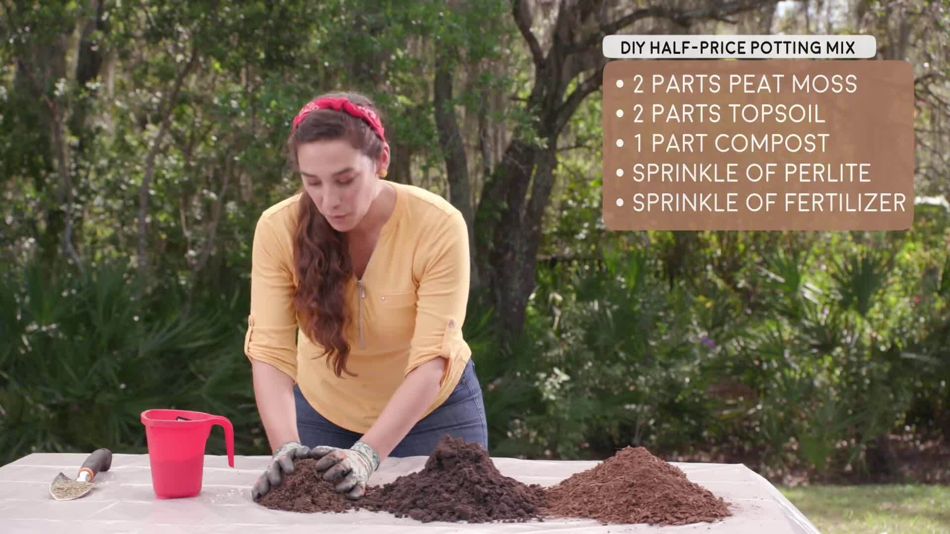 Outdoor Container Gardens