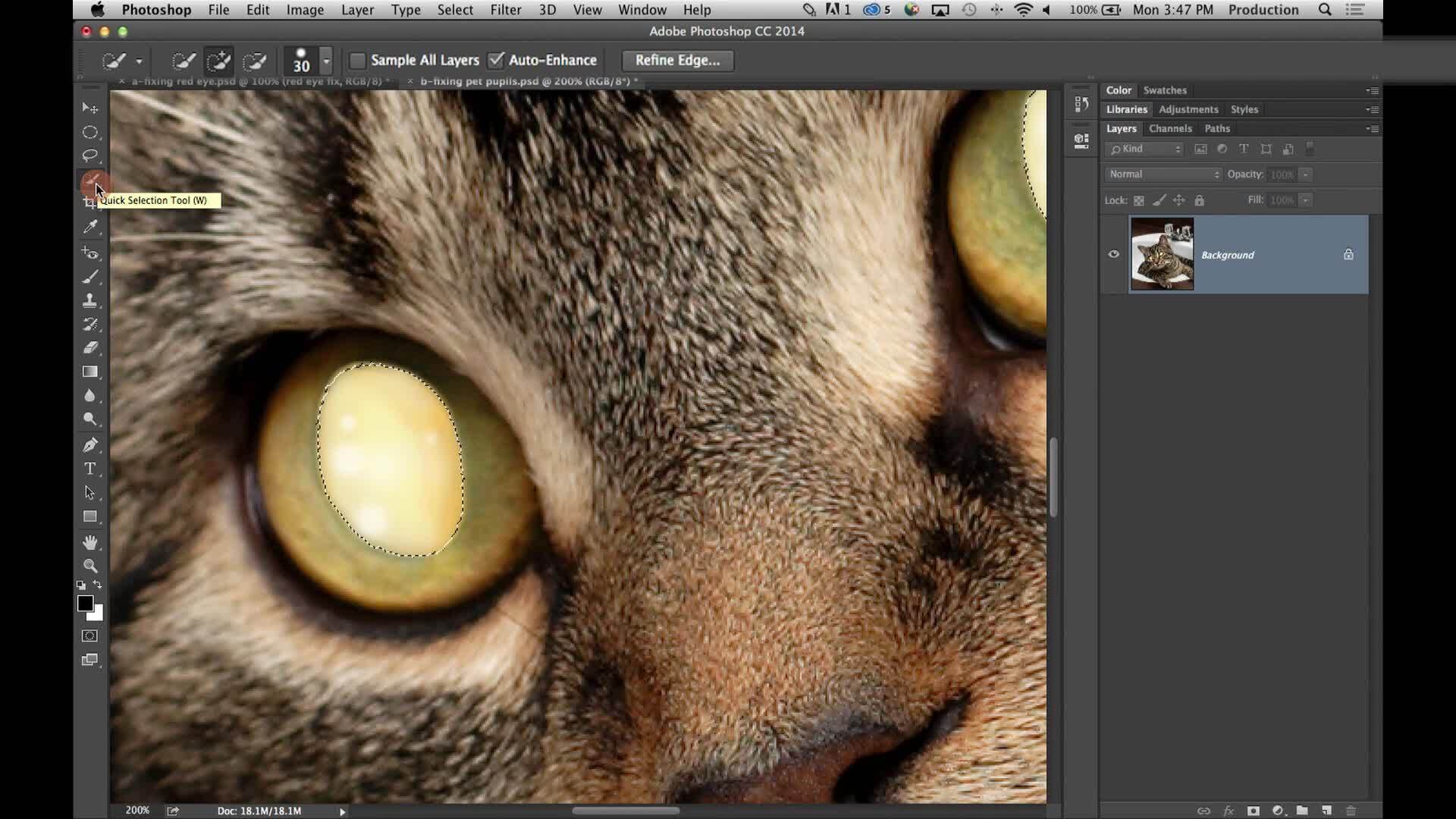 Pupil Fixes for People & Pets