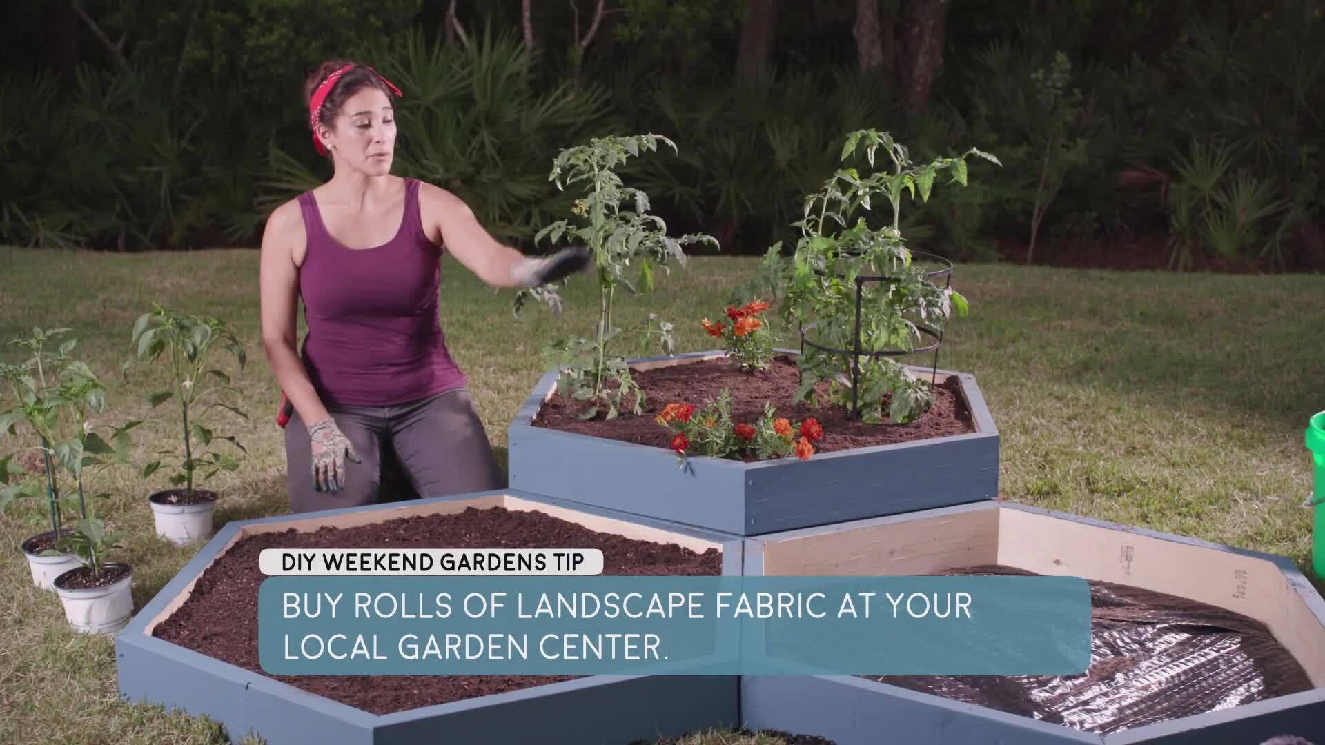 Raised Bed Vegetable Garden