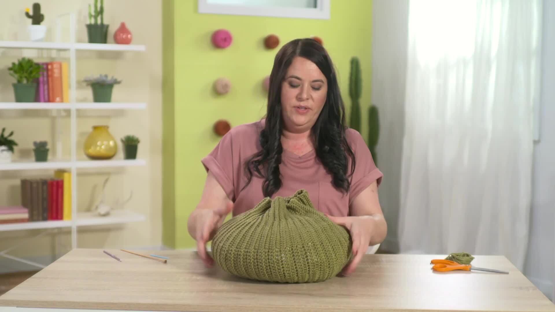 Barrel Cactus Pillow