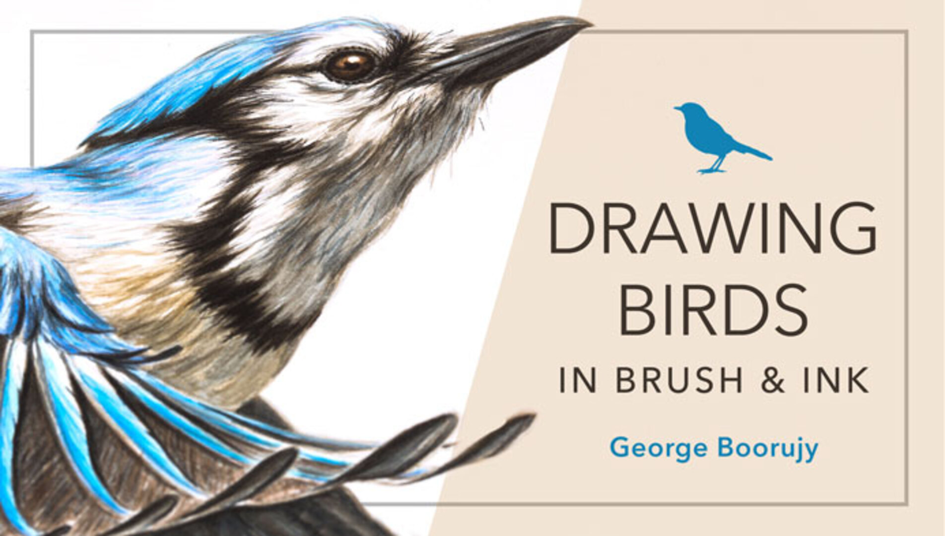 how to draw a realistic bird step by step