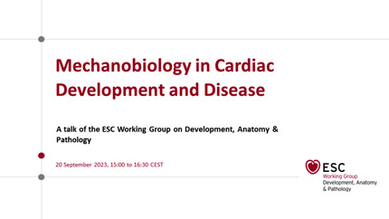 Mechanobiology in Cardiac Development and Disease