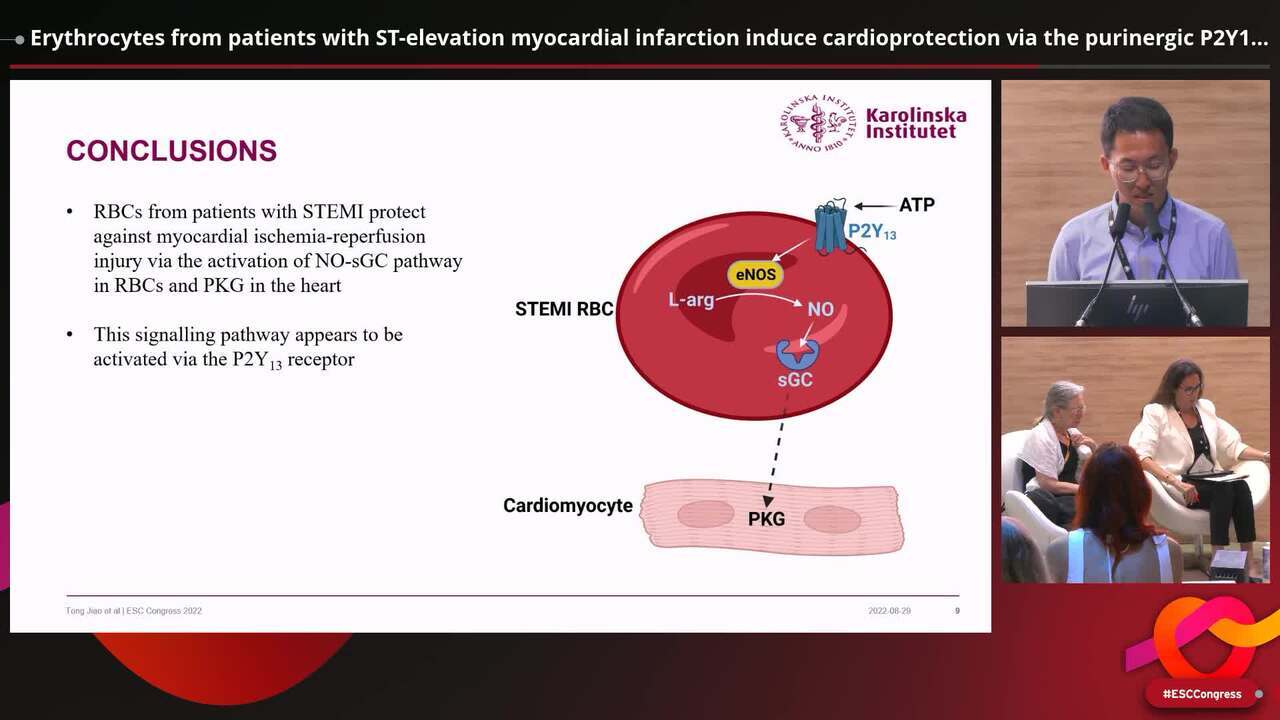 Erythrocytes from patients with ST-elevation myocardial infarction induce cardioprotection via the purinergic P2Y13 receptor and nitric oxide signalling 