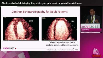 The future of echocardiography: innovations, opportunities and challenges