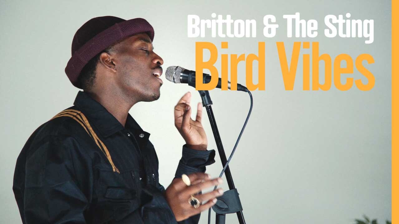 Britton & The Sting: Bird Vibes