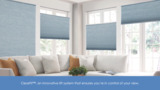 THERMOSHADE PASTAL EBONY Perfect Fit Thermal Blackout Honeycomb Blinds