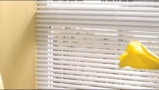 Levolor aluminum blinds have a century old legacy.  Learn more in this short video.