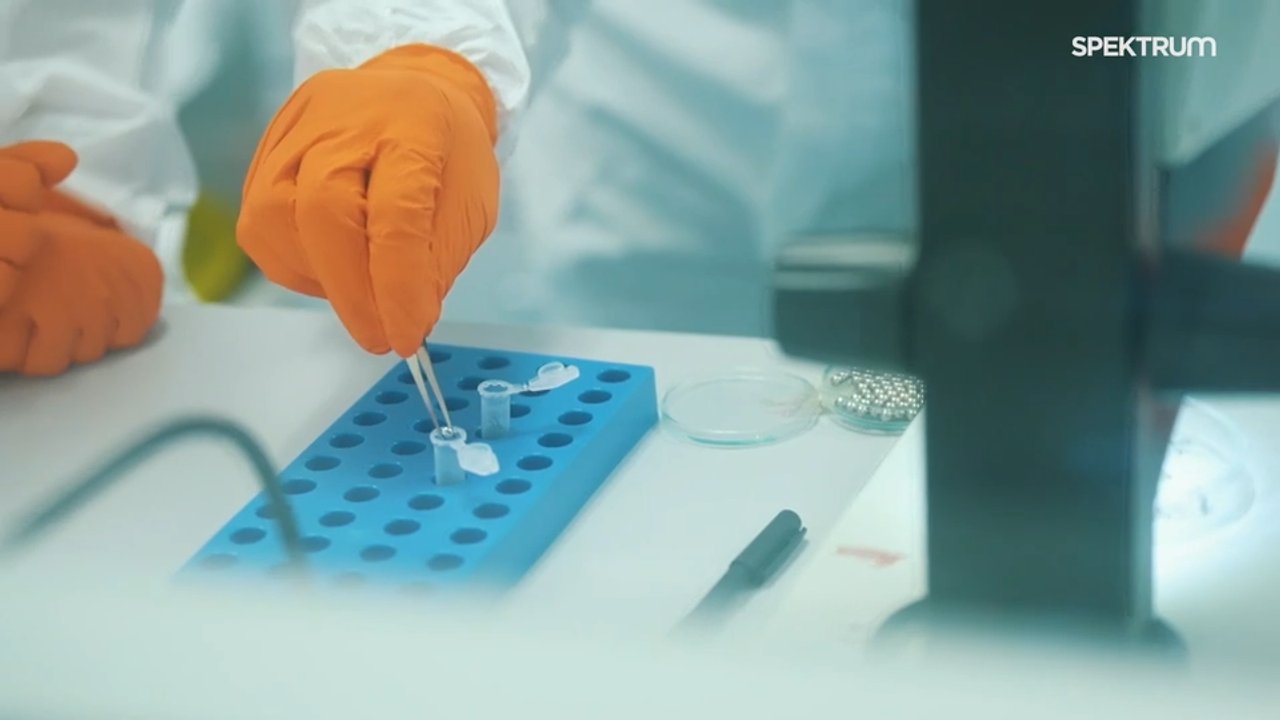 Zoo a virová laboratoř