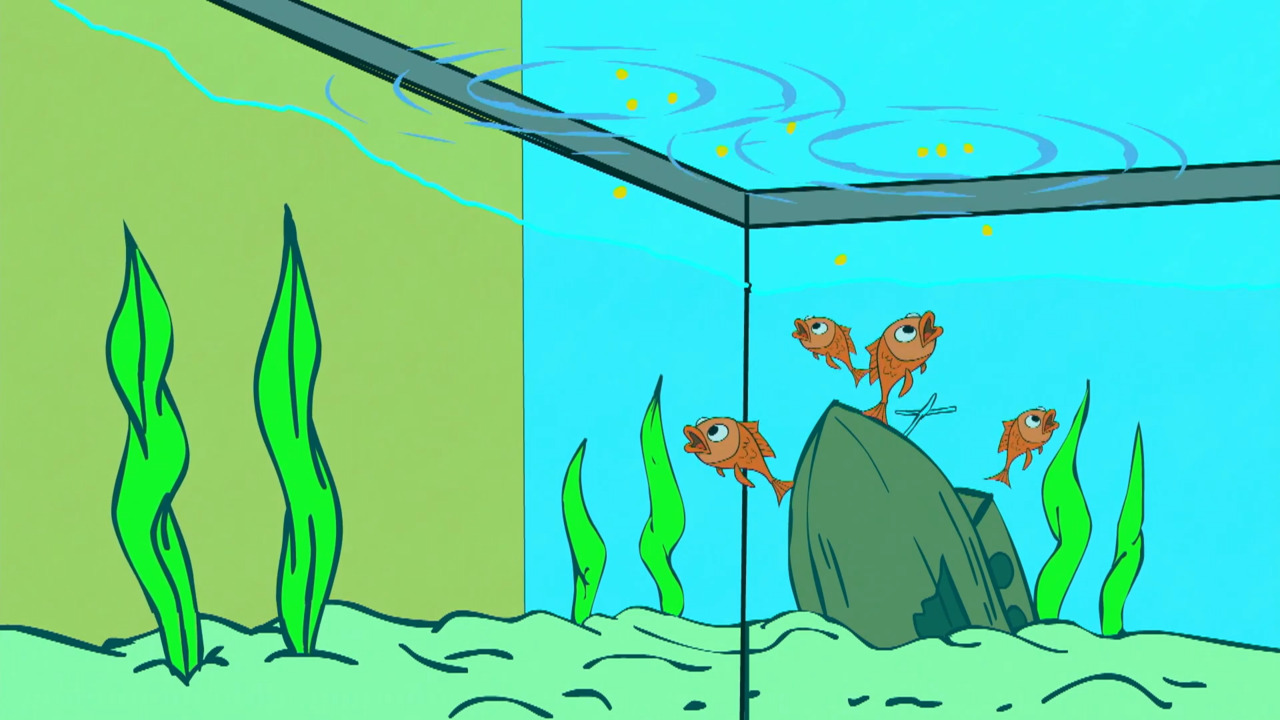 Az aranyhalak rejtélye / A rádióüzenet rejtélye