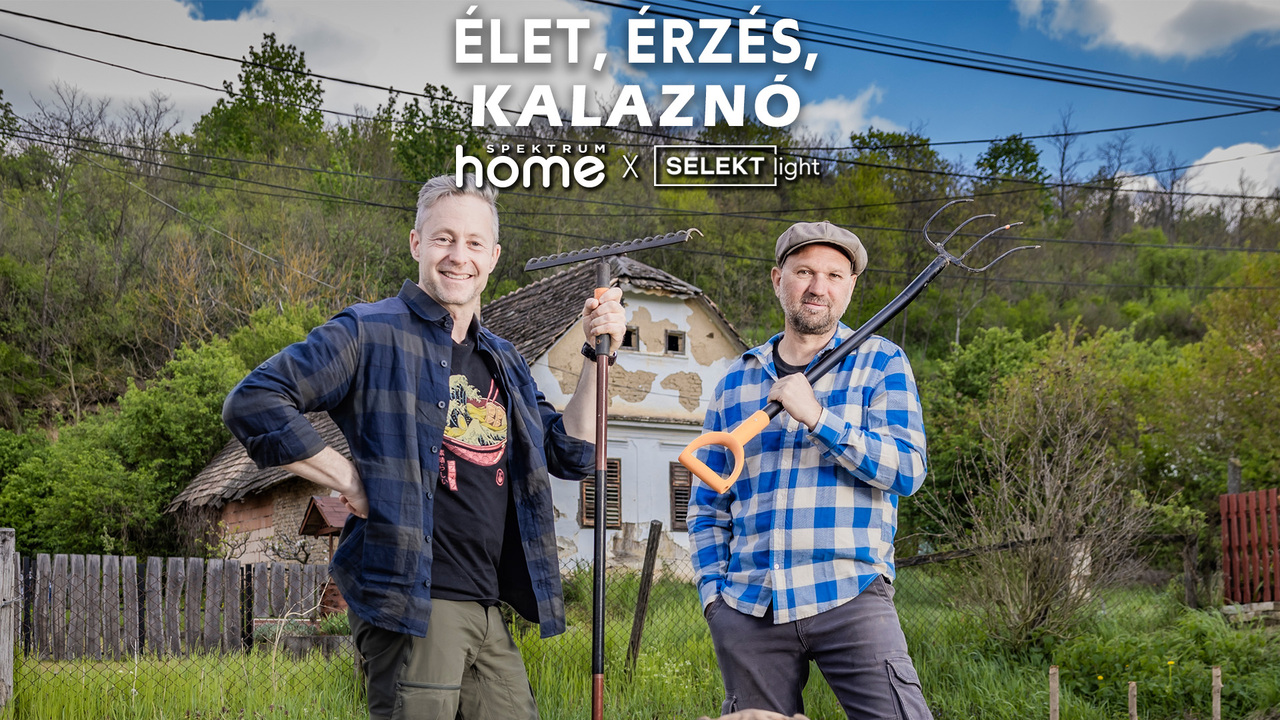 Élet, érzés, Kalaznó
